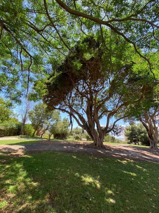 Apt Moderno Con Vistas, Recepcion 24 Hs Y Piscinas Benalmadena Bagian luar foto